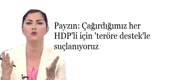 Payzın: Çağırdığımız her HDP’li için ‘teröre destek’le suçlanıyoruz