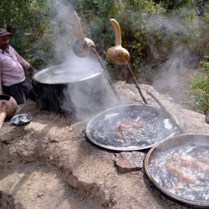 Siirt’te İskambo Pekmez Yapımına Başlandı