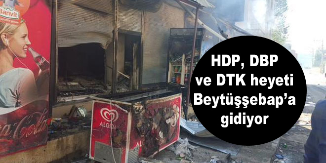 HDP, DBP ve DTK heyeti Beytüşşebap’a gidiyor