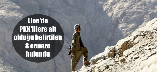 Lice’de PKK’lilere ait olduğu belirtilen 8 cenaze bulundu