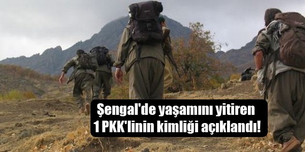 Şengal’de yaşamını yitiren 1 PKK’linin kimliği açıklandı!