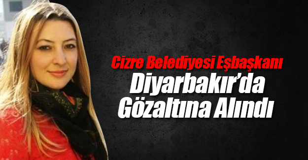 Cizre Belediyesi Eşbaşkanı Leyla İmret gözaltına alındı