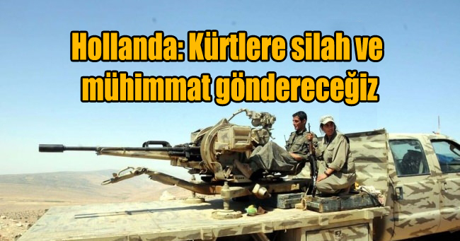 Hollanda: Kürtlere silah ve mühimmat göndereceğiz