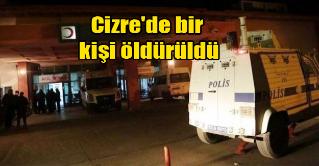 Cizre’de bir kişi öldürüldü