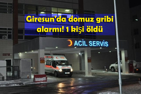 Giresun’da domuz gribi alarmı! 1 kişi öldü