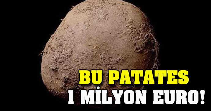 Bu patates 1 milyon euro!