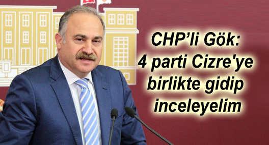 CHP’li Gök: 4 parti Cizre’ye birlikte gidip inceleyelim