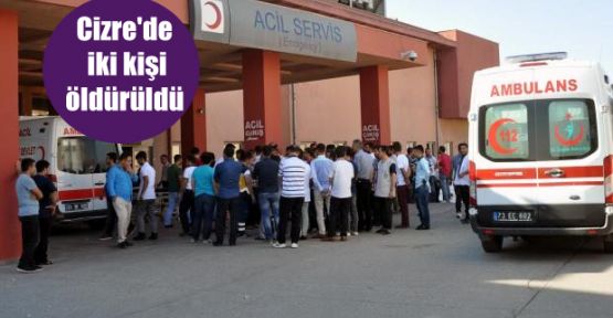 Cizre’de iki kişi öldürüldü