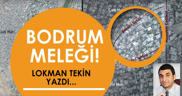 BODRUM MELEĞİ!