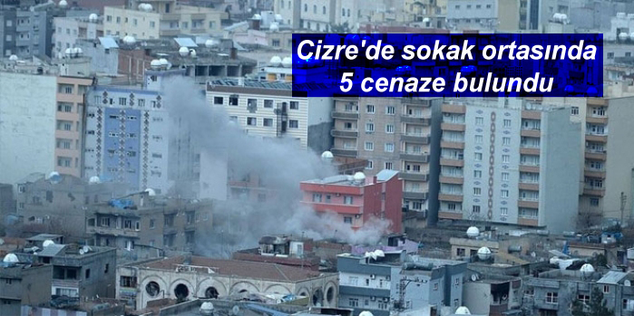 Cizre’de sokak ortasında 5 cenaze bulundu