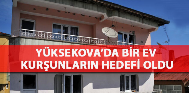 Yüksekova’da özel hareket timleri evleri taradı