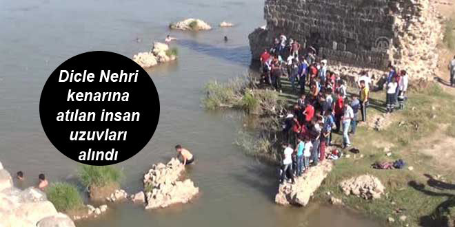 Dicle Nehri kenarına atılan insan uzuvları alındı