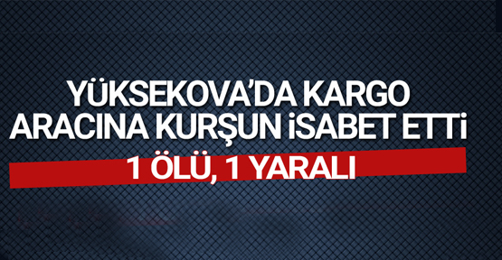 Yüksekova’da kargo aracına kurşun isabet etti: 1 kişi hayatını kaybetti