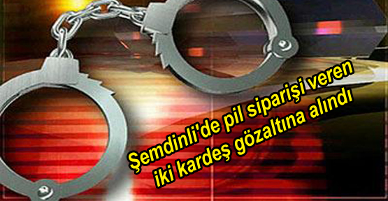 Şemdinli’de pil siparişi veren iki kardeş gözaltına alındı