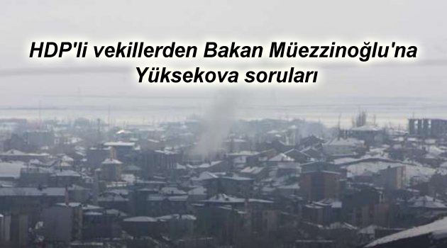 HDP’li vekillerden Bakan Müezzinoğlu’na Yüksekova soruları