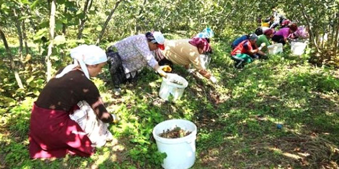 HDP kadın işçilerin istihdamı için Meclis Araştırması istedi