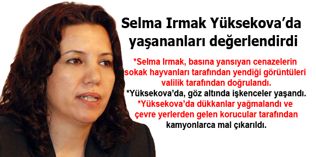 Selma Irmak: ‘Vali, kedilerin cenazeleri yediğini doğruladı’