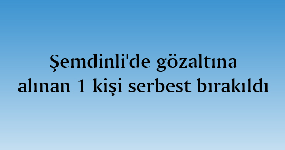 Şemdinli’de gözaltına alınan 1 kişi serbest bırakıldı