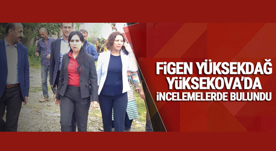 Figen Yüksekdağ, Yüksekova’da incelemelerde bulundu