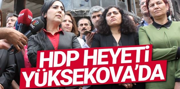 HDP ve DBP heyeti Yüksekova’da incelemelerde bulundu