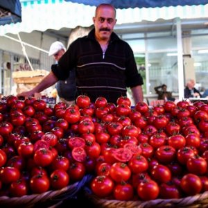 Pazarda fiyatlar yarı yarıya düştü