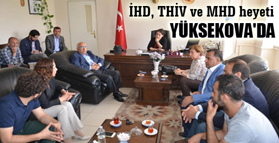 İHD, THİV ve MHD heyeti Yüksekova’da