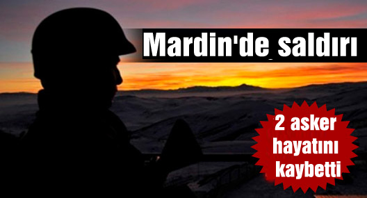 Mardin’de 2 asker hayatını kaybetti