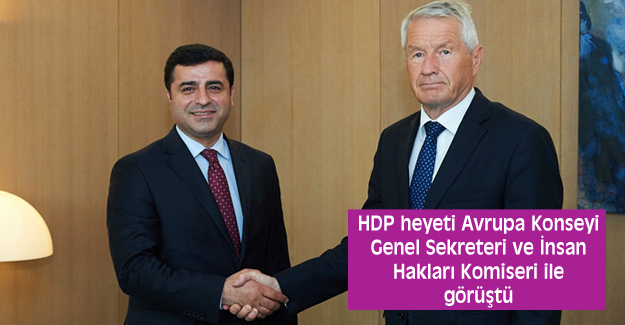 HDP heyeti AK Genel Sekreteri ve İnsan Hakları Komiseri ile görüştü