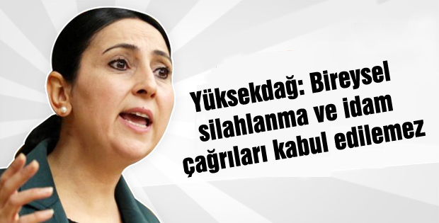 Yüksekdağ: Bireysel silahlanma ve idam çağrıları kabul edilemez