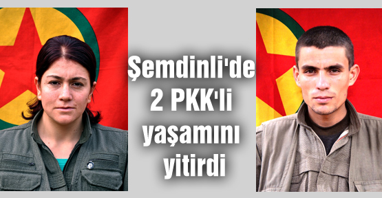 Şemdinli’de 2 PKK’li yaşamını yitirdi