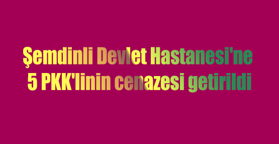 Şemdinli Devlet Hastanesi’ne 5 PKK’linin cenazesi getirildi