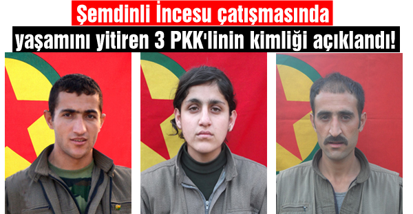 Şemdinli İncesu çatışmasında yaşamını yitiren 3 PKK’linin kimliği açıklandı