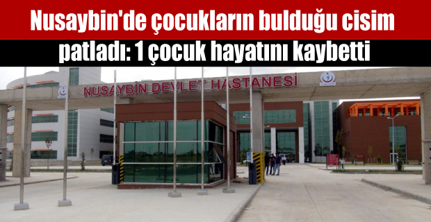 Nusaybin’de çocukların bulduğu cisim patladı: 1 çocuk hayatını kaybetti