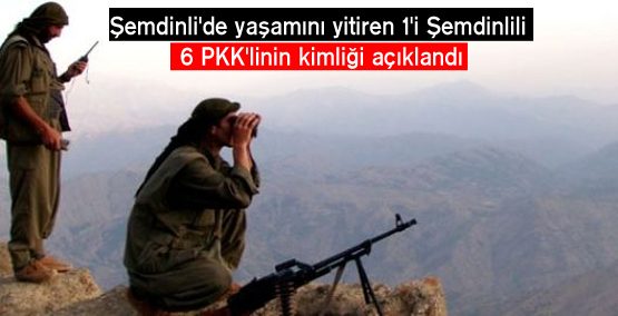 Şemdinli’de yaşamını yitiren 1’i Şemdinlili 6 PKK’linin kimliği açıklandı