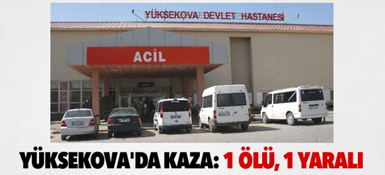 Yüksekova’da feci kaza: 1 ölü, 1 yaralı