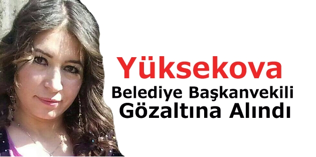 Yüksekova’da Belediye Eş Başkanvekili ve 2 kişi gözaltına alındı