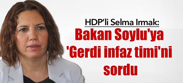 HDP’li Irmak Bakan Soylu’ya ‘Gerdi infaz timi’ni sordu