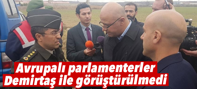 Avrupa Sosyalist Partisi heyeti Demirtaş ile görüştürülmedi