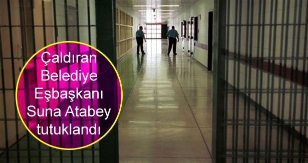 Çaldıran Belediye Eşbaşkanı Atabey tutuklandı