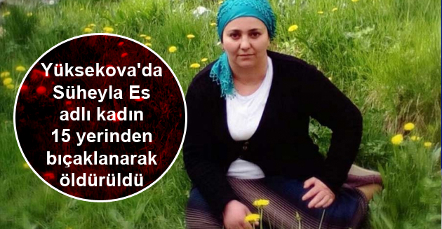 Yüksekova’da Süheyla Es adlı kadın bıçaklanarak öldürüldü