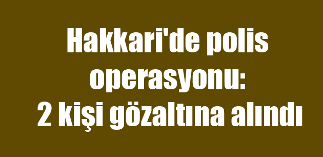 Hakkari’de polis operasyonu: 2 gözaltı