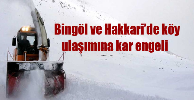 Bingöl ve Hakkari’de köy ulaşımına kar engeli