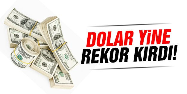 Dolarda yükseliş durulmuyor