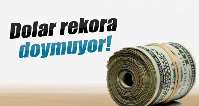 Dolar rekora doymuyor, euro 4’ü geçti