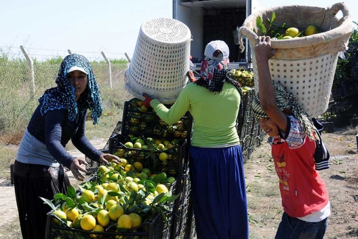 Türkiye’de 100 bine yakın çocuk işçi var