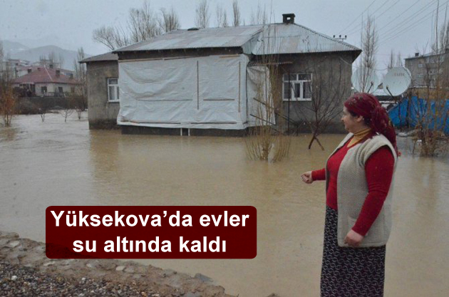 Yüksekova’da evler su altında kaldı