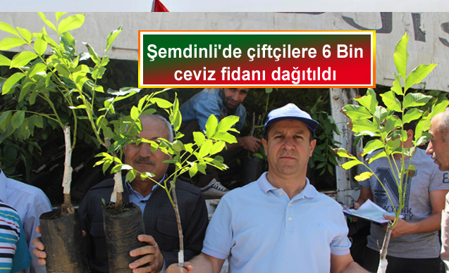 Şemdinli’de çiftçilere 6 Bin ceviz fidanı dağıtıldı