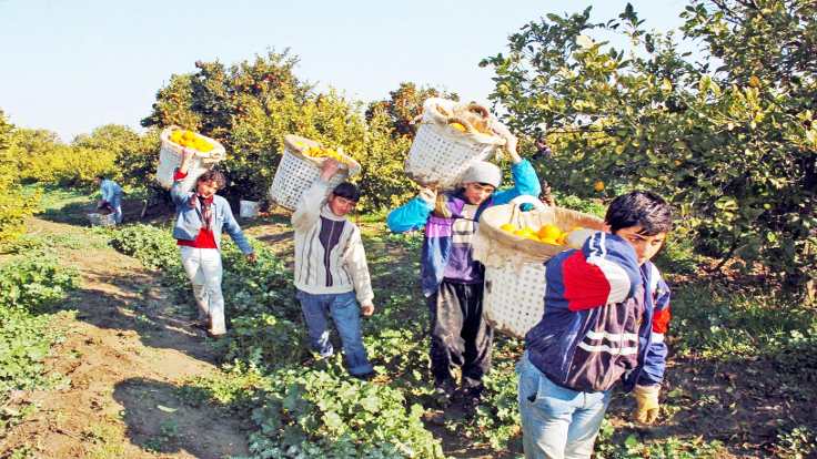 Manşetlerdekiler ‘başaran’ çocuk işçiler