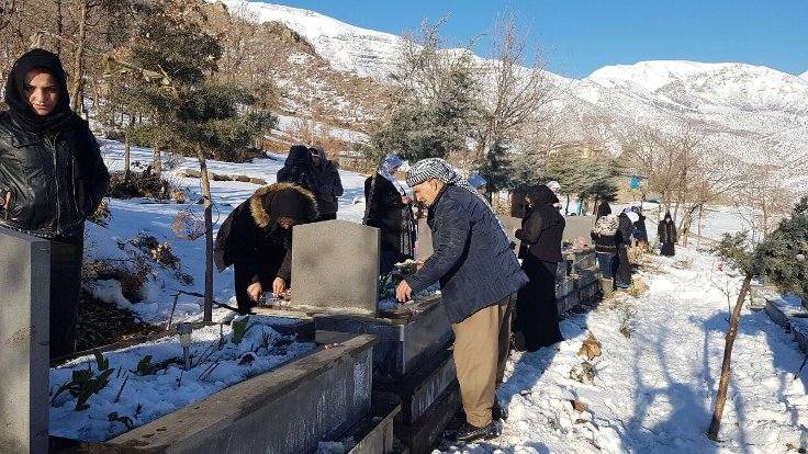 Roboski anmasına sınırlama