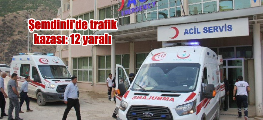 Şemdinli’de trafik kazası: 12 yaralı